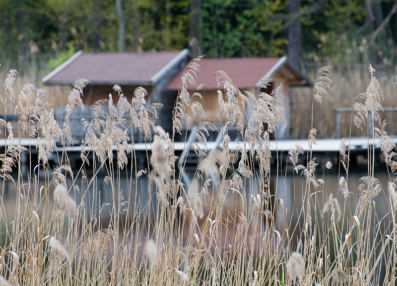 LandSüdtirol D35_4543 als Smart-Objekt-1 Kopie.jpg - Völzer Weiher